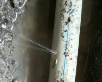 阿拉善右卫生间测漏水多少钱